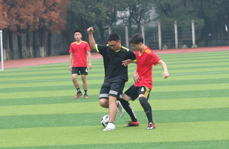 15vip太阳成集团古天乐